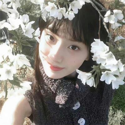 阴羚